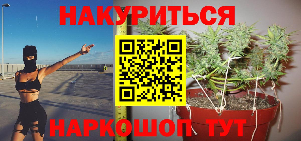 Конопля VHQ  Вход с VPN  Каннабис Bruce Banner  Тара  Шишки марихуана планчик 